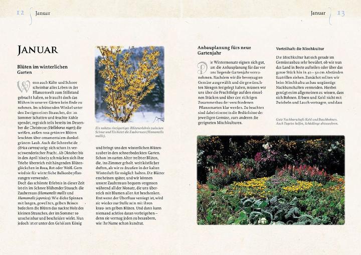 Image du produit Kosmos Geheimnisse aus dem Klostergarten (Allemand, Christa Weinrich, OSB, 2024)