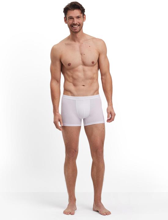 Produktbild Falke Herren (S)
