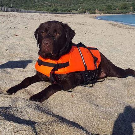 Immagine prodotto Croci Giubbotto di salvataggio per cani (Giubbotto di salvataggio per cani)
