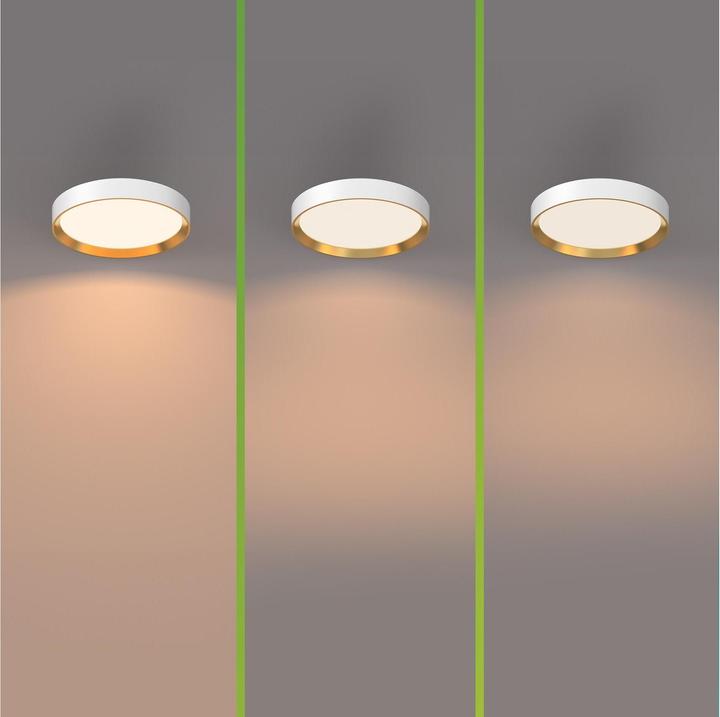 Actual product image Philips Hanno (2700 lm)