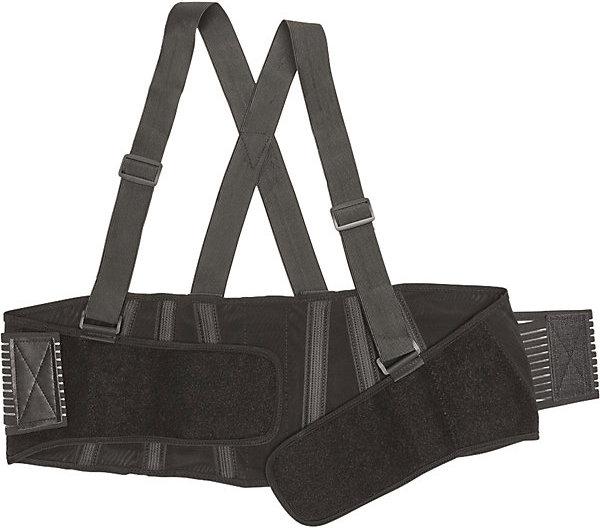 Actual product image kaiserkraft Back Support Belt Premium (L)