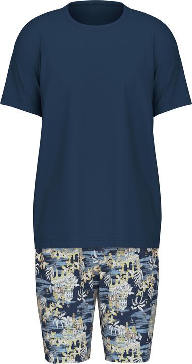 Insigne Bleu