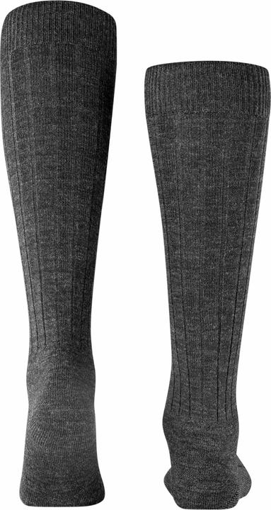 Image du produit Falke Teppich im Schuh KH (45 - 46)