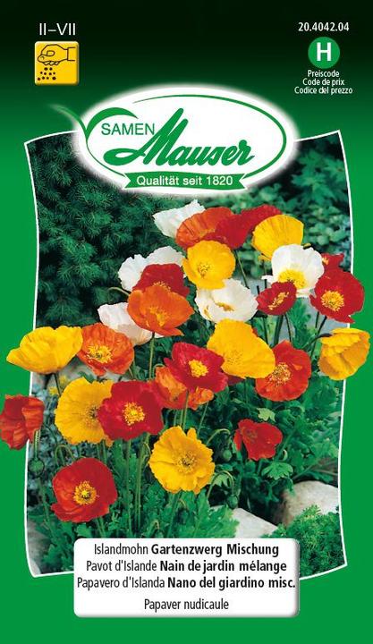 Samen Mauser Miscela dello gnomo da giardino del papavero islandese (Semi di piante)
