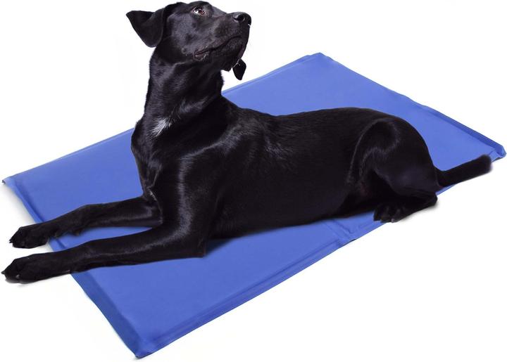 Image du produit Fudajo Tapis de refroidissement (Chat, Chien)