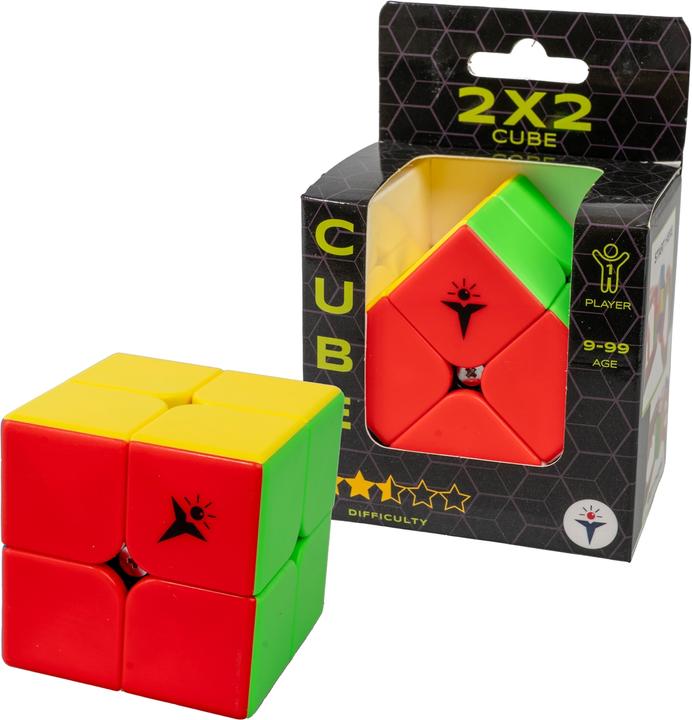 Actual product image Recent Toys Cube Economy (2 x 2)