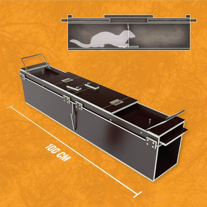 Actual product image Martenbrown Marten trap