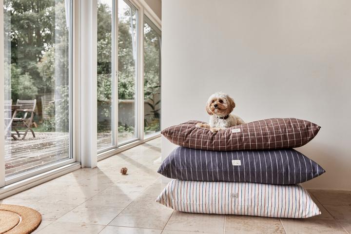 Image du produit Oyoy ZOO - Kyoto Dog Cushion Medium - Antracit (Z60059) (Chien)