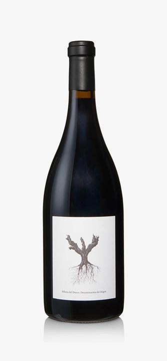 Image du produit Dominio de Pingus Psi by Pingus (1 x 75 cl, 2021)