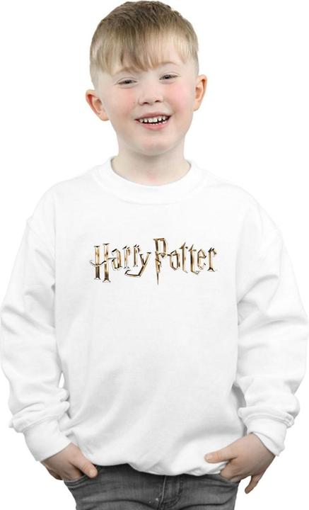 Actual product image Boys Full Colour Logo Sweatshirt (116)