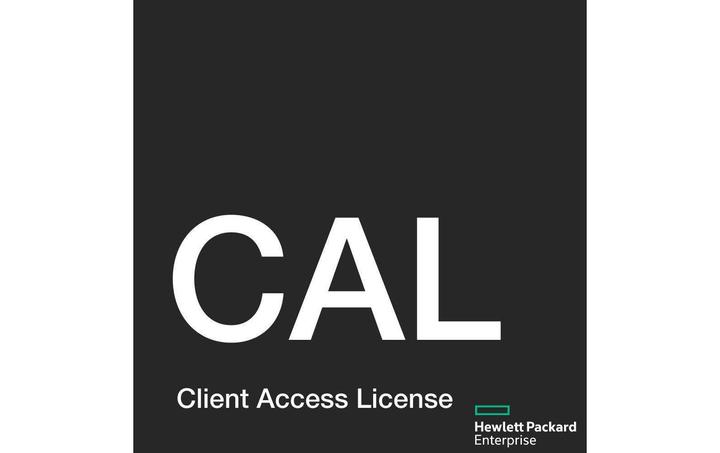 Immagine prodotto HPE MS WS19 50USR CAL en/fr/it/en/es LTU (50 Utente, Senza limiti)