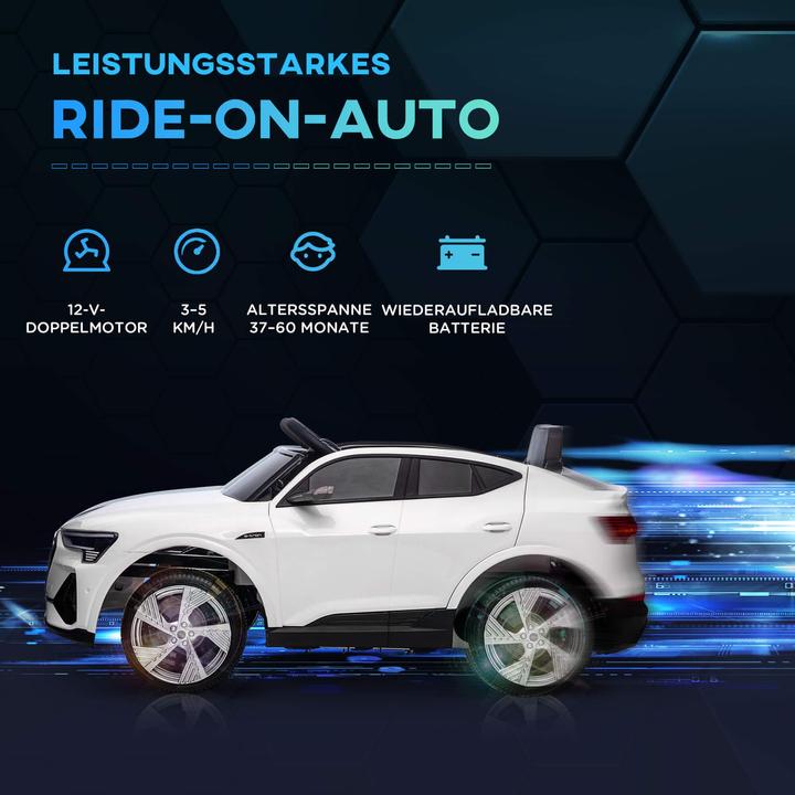 Produktbild Jamb Audi e-tron (12 V)