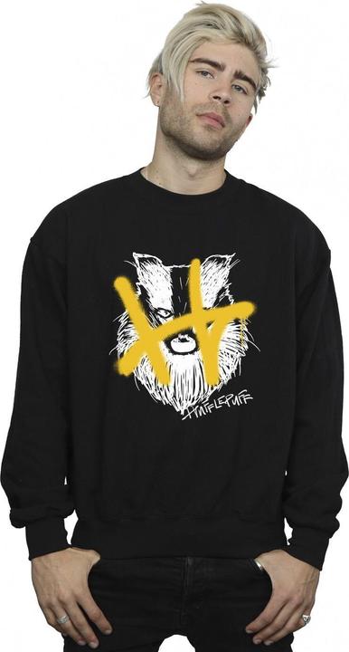 Actual product image Mens Hufflepuff Pop Spray Sweatshirt (L)