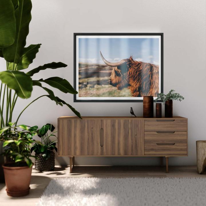 Immagine prodotto Trenddeko Mucca d'altopiano 02 (50 x 40 cm)