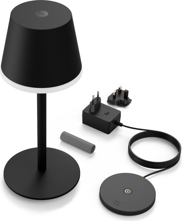 Actual product image Philips Hue Go (370 lm)