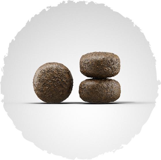 Image du produit Josera Sensi Junior (Junior, 1 pcs, 12500 g)