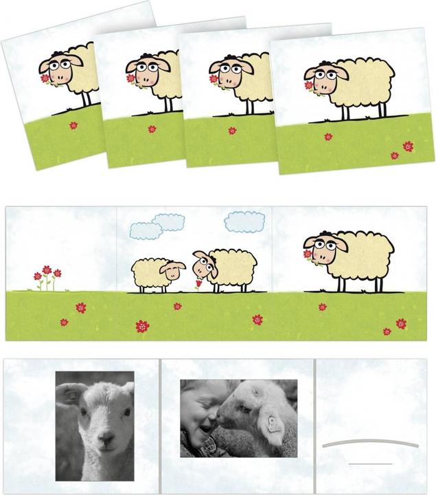 Produktbild Daiber 1x25 Schaf 13x18 Kinder Portraitmappen (13 x 18 cm, 1 x)