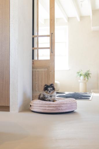 Actual product image Designed by Lotte Reza reclining cushion (Dog)