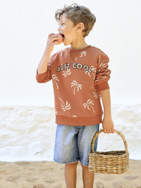 Produktbild Vertbaudet Jungen Sweatshirt mit Frottee-Motiv und Recycling-Polyester (128)