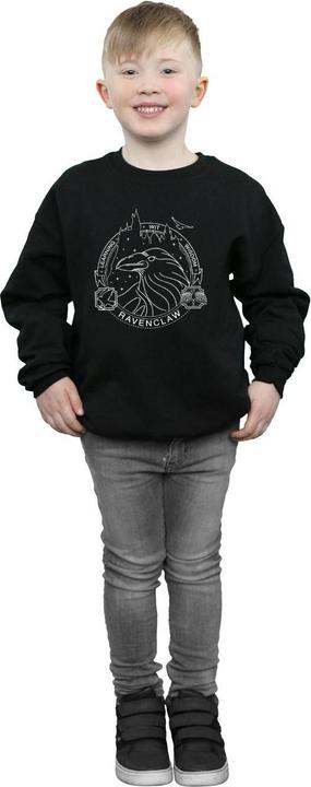 Actual product image Boys Ravenclaw Seal Sweatshirt (152, 158)