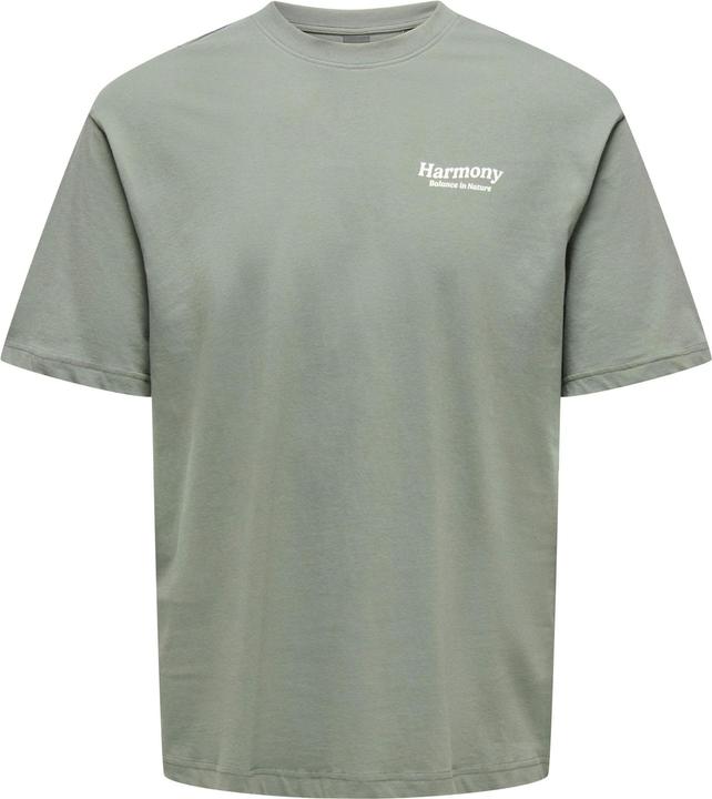 Only & Sons Onskeane Rlx Ss Print Tee Noos (XXL)