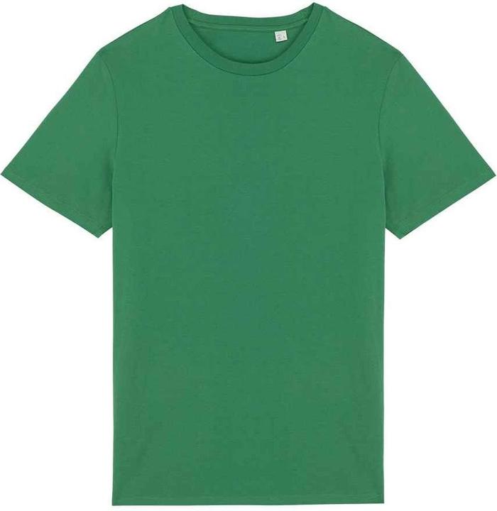 Native Spirit TShirt