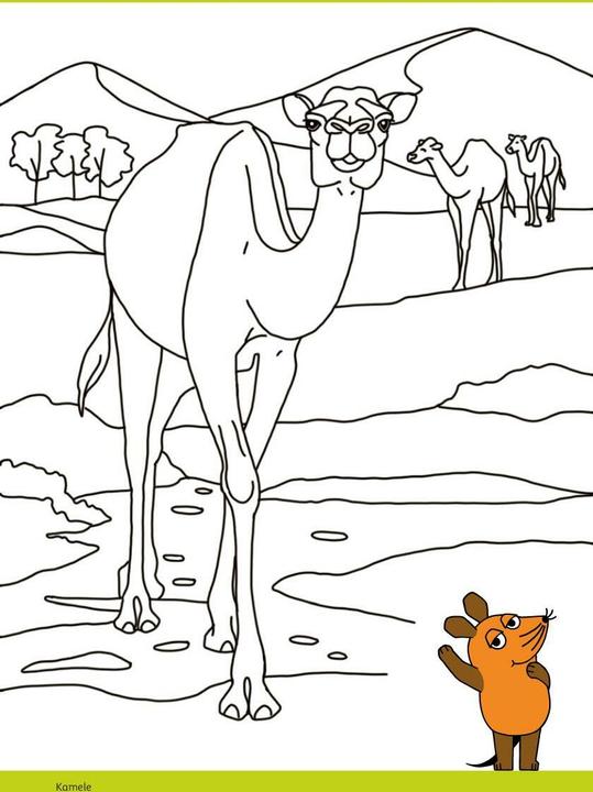 Image du produit Die Maus - Malblock mit Sachwissen Natur und Tiere (Allemand, pen2nature, 2024)