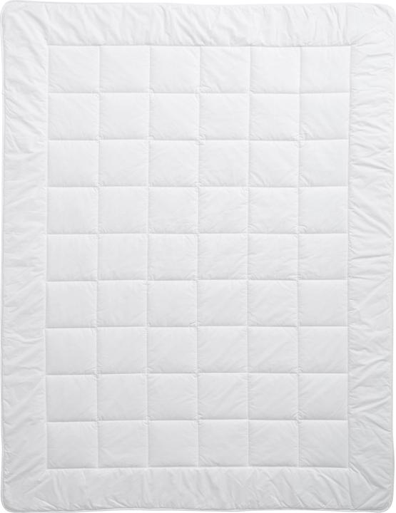 Actual product image Billerbeck Bamboo Uno (1600 g, 200 x 210 cm)