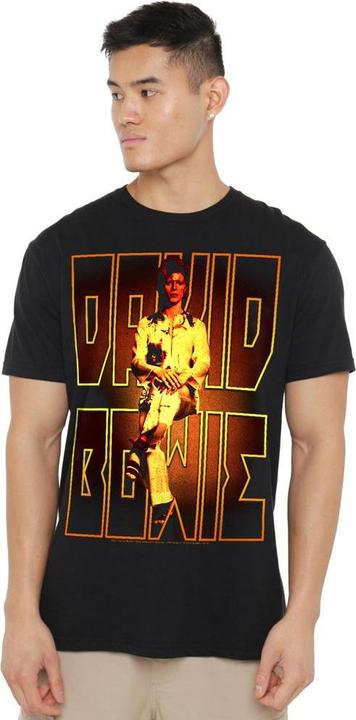 Actual product image David Bowie Mens Perched T-Shirt (3XL)