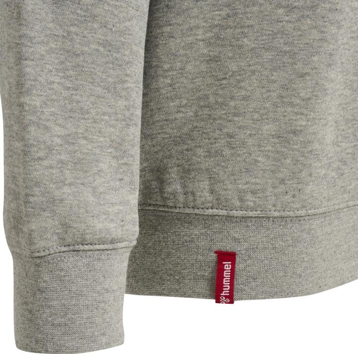 Actual product image hummel Red Classic Hoodie Kids (140)