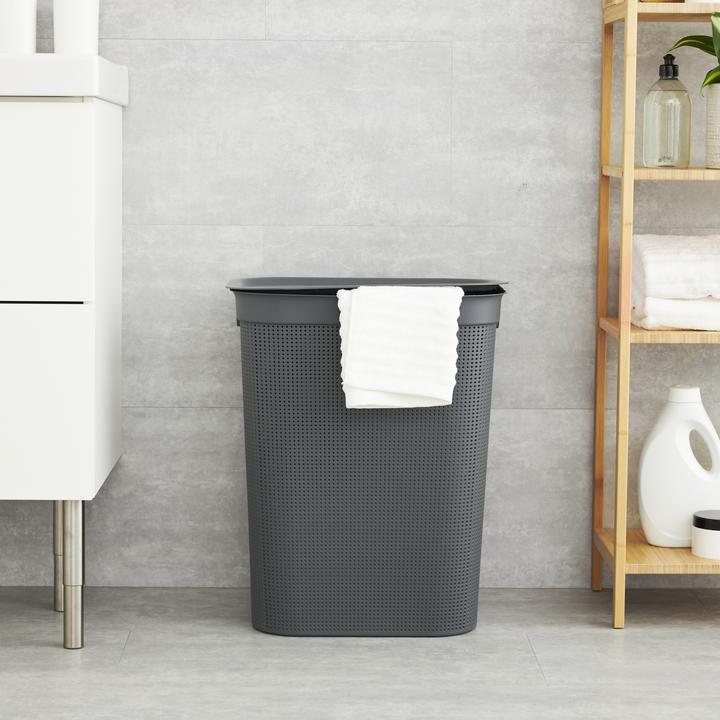 Image du produit Rotho Brisen (50 l)