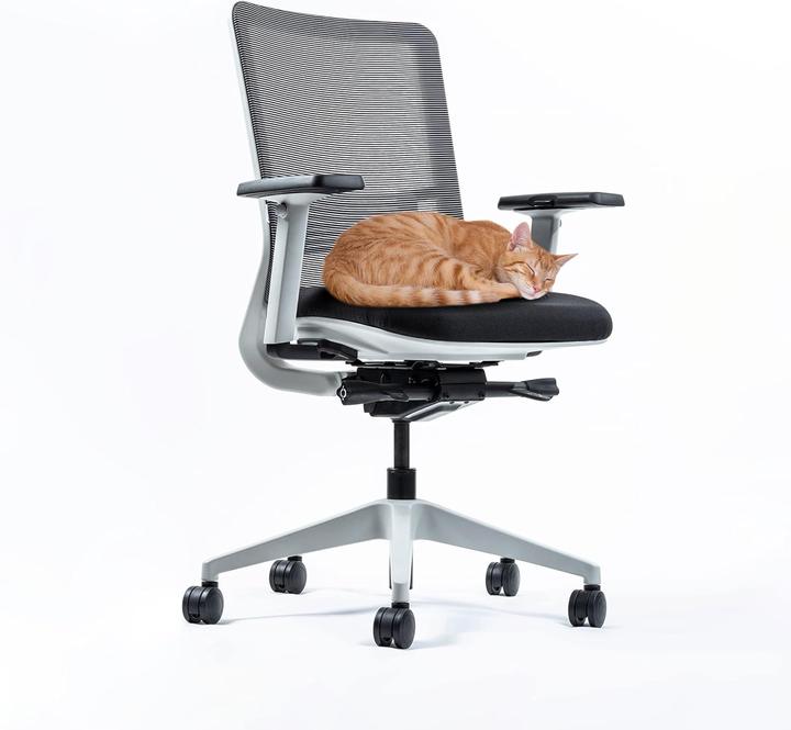 Produktbild Yaasa Chair Classic - Weiss