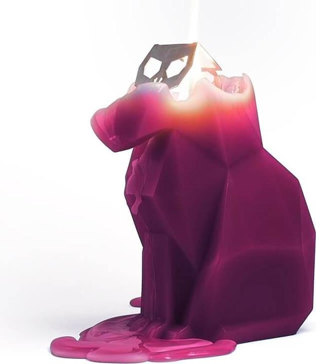 Actual product image 54Celsius PyroPet Kisa (1 pcs.)