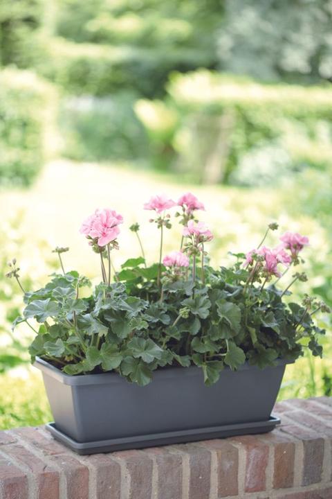 Actual product image Elho Flower Box Barcelona L 90 cm anthracite (89.80 cm)