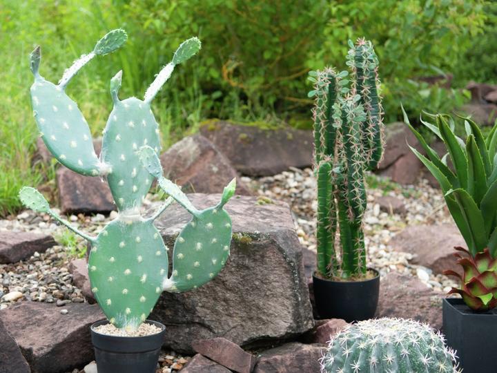 Productafbeelding Europalms Bladcactus, Kunstplant, 76cm (76 cm)