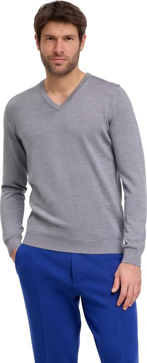Falke Herren (L)