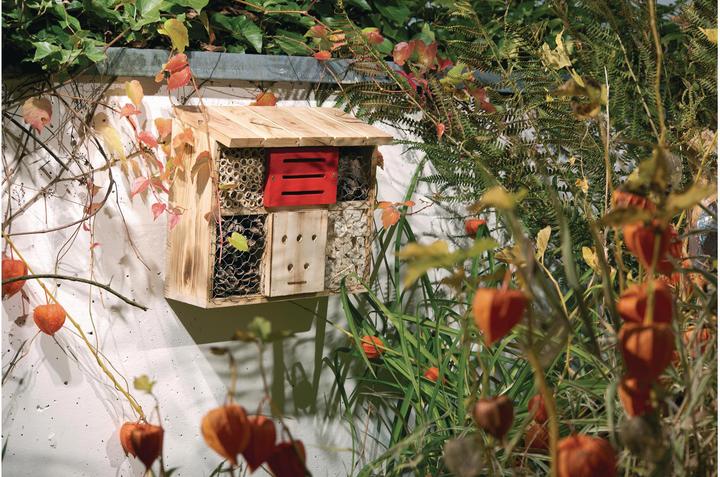 Produktbild Windhager Zur Linde (Florfliegen, Hummeln, Marienkäfer, Ohrwürmer, Wildbienen)