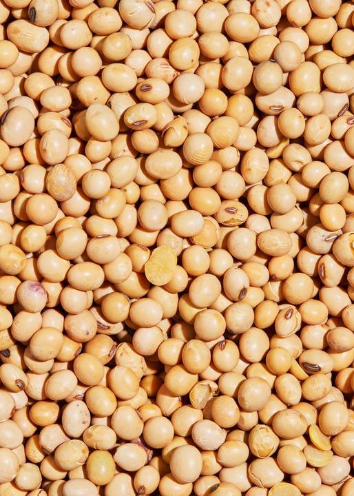 Immagine prodotto KoRo Semi di soia biologici essiccati (2000 g)