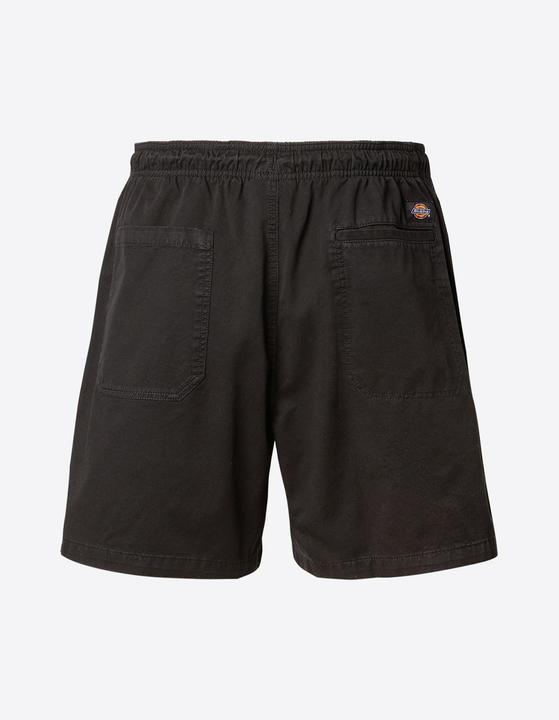 Image du produit Dickies Pelican Rapids Short en tissu - 91859 (XL)