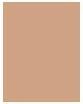Actual product image L'Oréal Paris true match (4N)