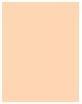 Produktbild Dior Forever (2WP Warm Peach)