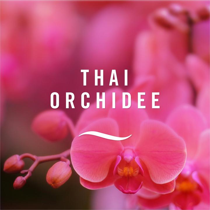Immagine prodotto Febreze Thai Orchidea