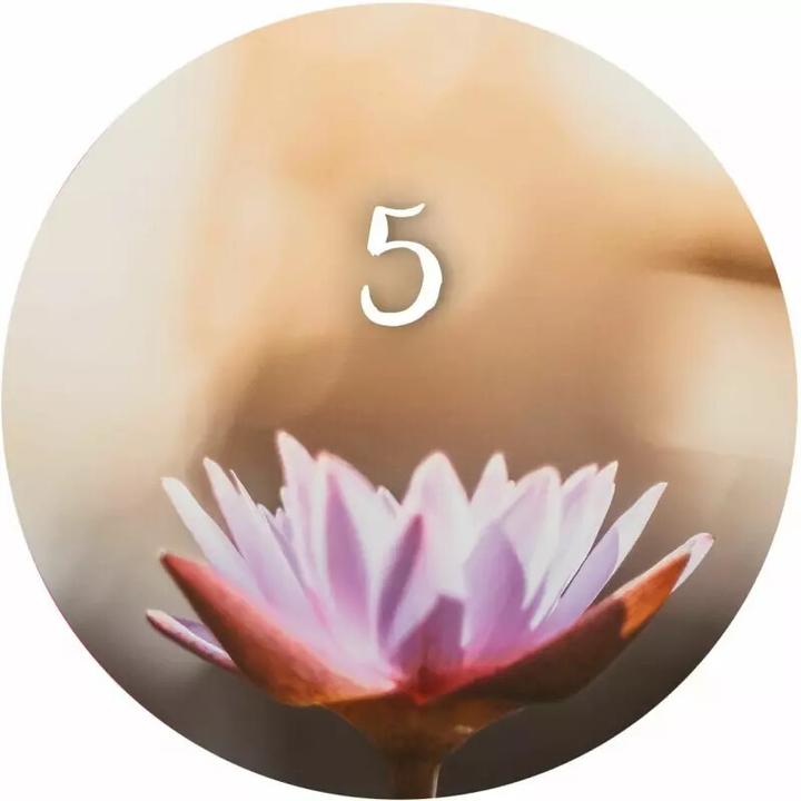 Actual product image 24 moments of mindfulness