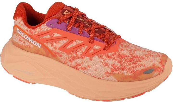 Image du produit Salomon Aero Glide 2 W 474266 - 40 2/3 (40 2/3)