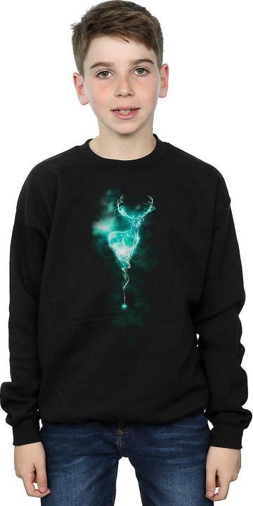 Actual product image Patronus Mist boys' sweatshirt (152, 158)