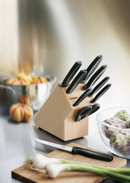 Immagine prodotto Victorinox Ceppo di coltelli