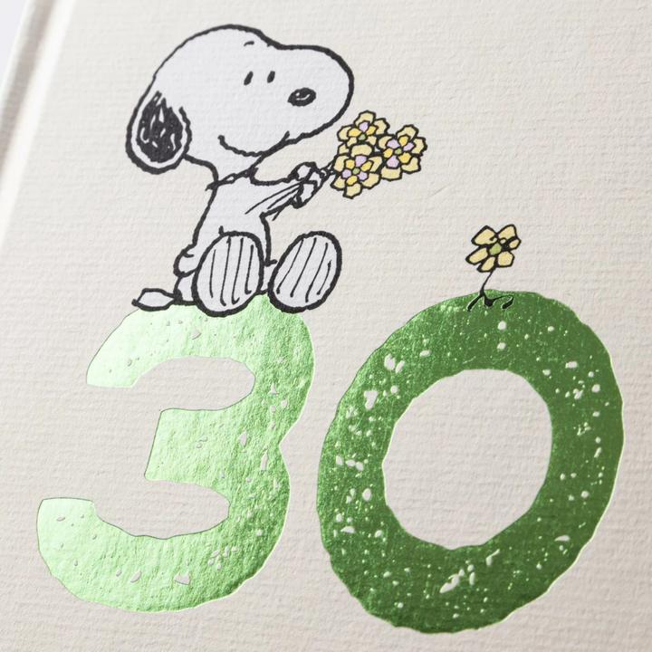 Actual product image Peanuts Geschenkbuch: Happy Birthday zum 30. Geburtstag (German, Charles M. Schulz, 2024)