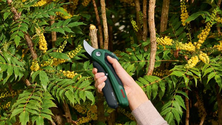 Actual product image Bosch Home & Garden EasyPrune