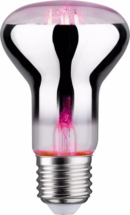 Produktbild Paulmann Grow Green Pflanzenlampe R63 (LED, 6.50 V)