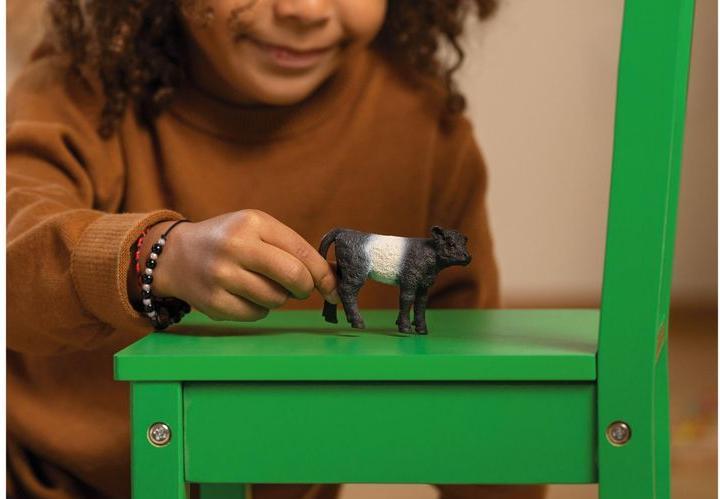Actual product image Schleich Galloway calf